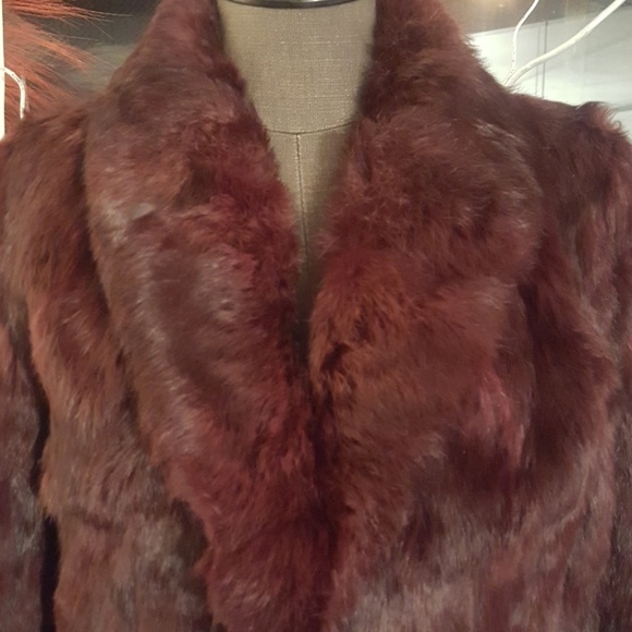 Jacques Saint Laurent For City Fur - Picture 3 of 8
